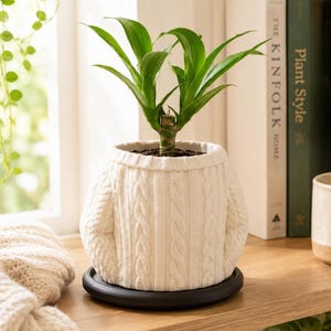 May include: A small green plant potted in a white ceramic planter designed to look like a cable-knit sweater. The planter sits on a circular black saucer. The plant has vibrant green leaves and a visible brown stem emerging from the soil.
