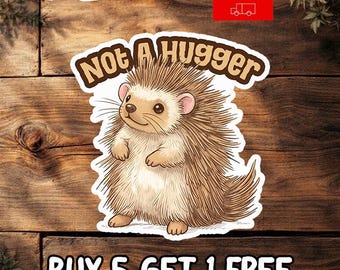 Not A Hugger Sticker, Funny Introvert Decal, Mental Health Humor Sticker, Holographic Waterproof Vinyl Gift