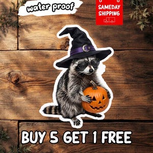 May include: A sticker featuring a raccoon wearing a black witch hat with a purple band and a silver crescent moon charm, along with spiderweb-patterned sunglasses, holding a small orange jack-o'-lantern pumpkin with a carved face.