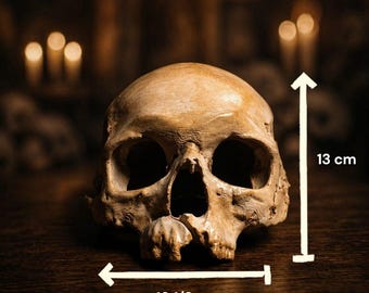 Realistic Skull Mask