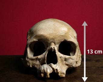 Realistische Totenkopf Maske