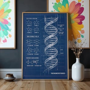 May include: A blue blueprint-style poster featuring a white line drawing of a DNA double helix structure, labeled with chemical formulas for nucleotides, base pairs, and phosphate-sugar backbones, including measurements in Angstroms.