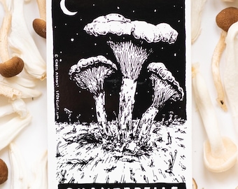 Chanterelle Tarot Mushroom Sticker