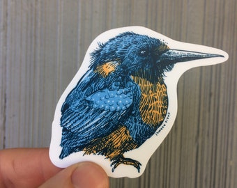 Common Kingfisher Sticker