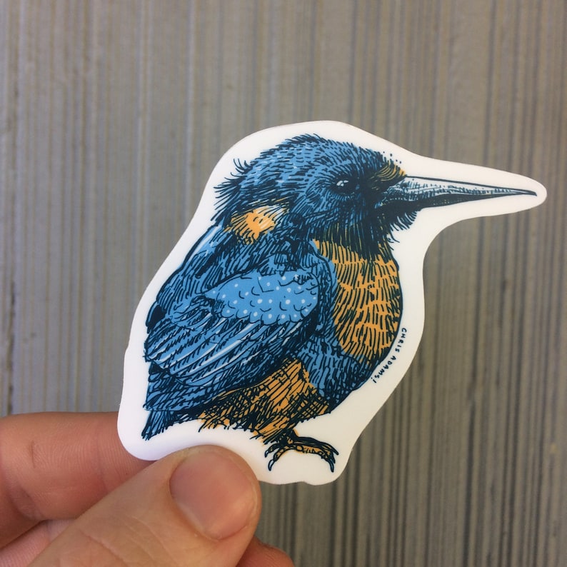 May include: A sticker featuring a detailed illustration of a bird in profile. The bird has blue and orange plumage, a long beak, and is set against a white background. The artist's name, "CHRIS ADAMS!" is printed on the sticker.