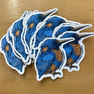 Common Kingfisher Sticker image 1