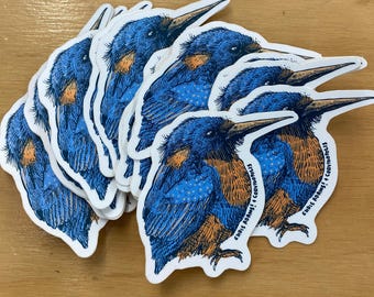 Sticker Martin-pêcheur d'Amérique