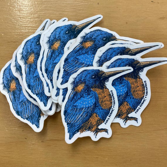 Common Kingfisher Sticker
