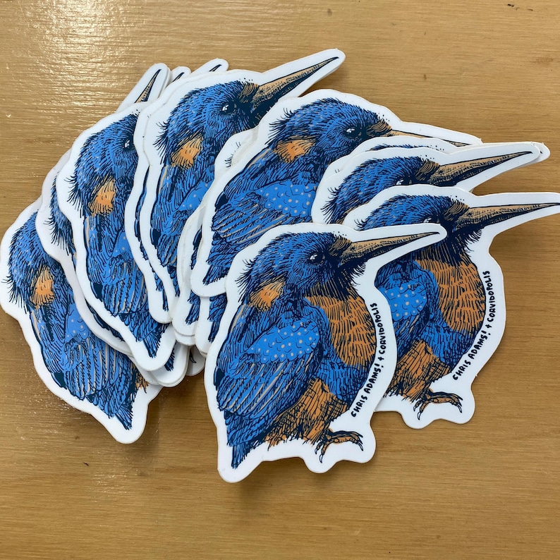 Common Kingfisher Sticker image 1