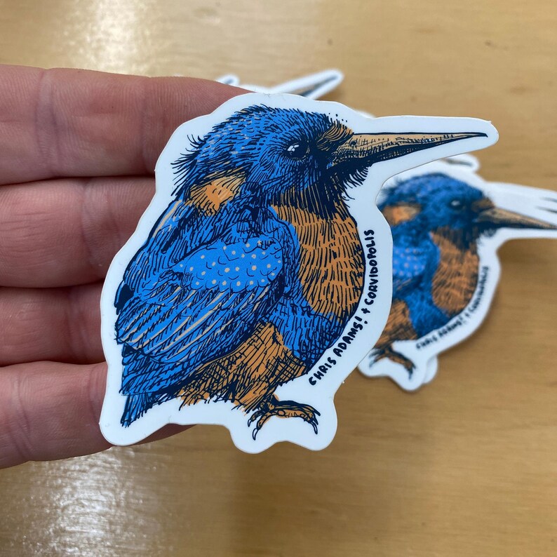 Common Kingfisher Sticker image 3