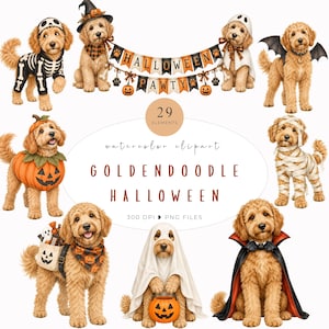 Puede incluir: Una colección de 29 elementos de arte prediseñado en acuarela con perros Goldendoodle en varios disfraces de Halloween, incluyendo esqueleto, calabaza, fantasma, murciélago, momia y vampiro, junto a un cartel que dice HALLOWEEN PAWTY.