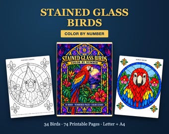 May include: A color-by-number book titled Stained Glass Birds featuring 34 birds and 74 printable pages in Letter and A4 sizes. The cover displays a colorful parrot, while the side pages show a black-and-white cardinal and a colored scarlet macaw.