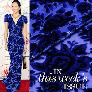 Könnte beinhalten: Ein bodenlanges blaues Samtkleid mit dunkelblauem Blumenmuster, kurzen Ärmeln und V-Ausschnitt. Der Stoff hat einen strukturierten Flor mit einer tiefblauen Basis und dunkelblauen Rosenmotiven. Der Text IN this week's ISSUE ist zu sehen.