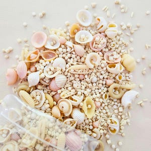 May include: A collection of assorted dry pasta shapes including shells, spirals, and small beads in shades of cream, beige, and soft pink. The pasta is scattered across a surface, with some pieces remaining inside a clear plastic bag at the bottom.
