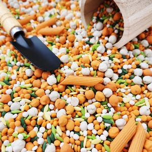 Mélange sensoriel ''carottes'' | Remplisseur de bacs sensoriels | Bac d’Exploration Montessori | Motricité fine | Jeu sensoriel pour enfants
