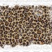 Distressed Leopard Sublimation Design background backsplash PNG Graphic Clipart Digital Download