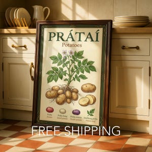 Puede incluir: Una lámina botánica enmarcada con una ilustración central de una planta de patata con raíces y tubérculos. El texto dice PRÁTAÍ Potatoes, con etiquetas para diferentes variedades de patata y una hoja. Marco de madera de color marrón oscuro.