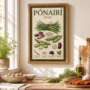 Fagioli irlandese Gaelico Vegetale Botanico Poster / Decorazione murale vintage per cucina / Stampa del vocabolario Gaeilge / Stampa per imparare il Gaeilge / Spedizione gratuita