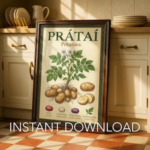 May include: A framed botanical print featuring a central illustration of a potato plant with roots and tubers. The text reads PRÁTAÍ Potatoes, with smaller labels for potato varieties and a leaf. The bottom text reads INSTANT DOWNLOAD.