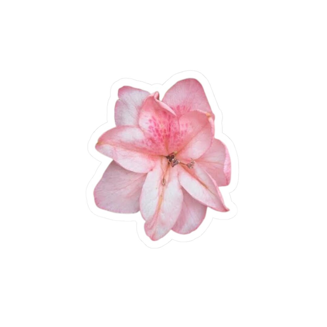 Azalea Sticker Pink Azalea Flower Sticker | Kiss-cut Floral Laptop Decal - Etsy