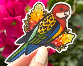 Sticker vinyle Rosella - Oiseaux australiens