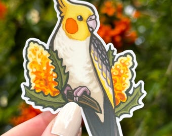 Sticker vinyle Calopsitte - Oiseaux australiens