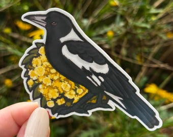 Sticker vinyle Pie - Oiseaux d'Australie
