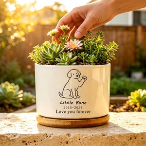 Könnte beinhalten: Weißer Keramik-Pflanztopf mit einer Hundeillustration und dem Text "Little Bone 2015-2026 Love you forever". Der Topf enthält Sukkulenten und kleine Blumen. Er steht auf einer Holzuntertasse.
