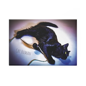 Black Cat Art Rectangular Magnet | Seven Variations
