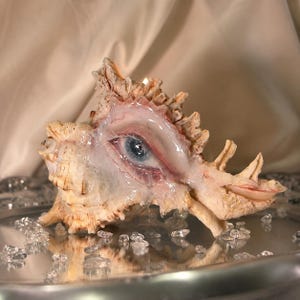 May include: A beige seashell sculpture featuring a realistic human eye embedded in its center. The eye has a blue iris and is surrounded by glossy, translucent material that mimics wet skin. The shell has a textured, spiky exterior surface.
