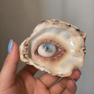 May include: A realistic human-like eye with a light blue iris and long white eyelashes set inside a natural, textured oyster shell. The shell has a smooth, pearlescent interior with beige and brown edges, creating a surreal, sculptural object.
