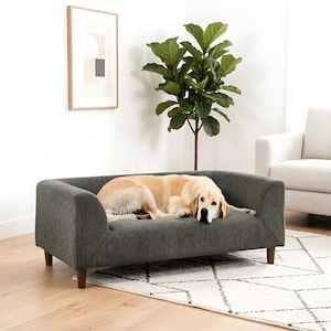 May include: A gray dog bed with wooden legs. A golden retriever is lying on the bed. The bed has a curved back and armrests. A framed picture and a large green plant are in the background.