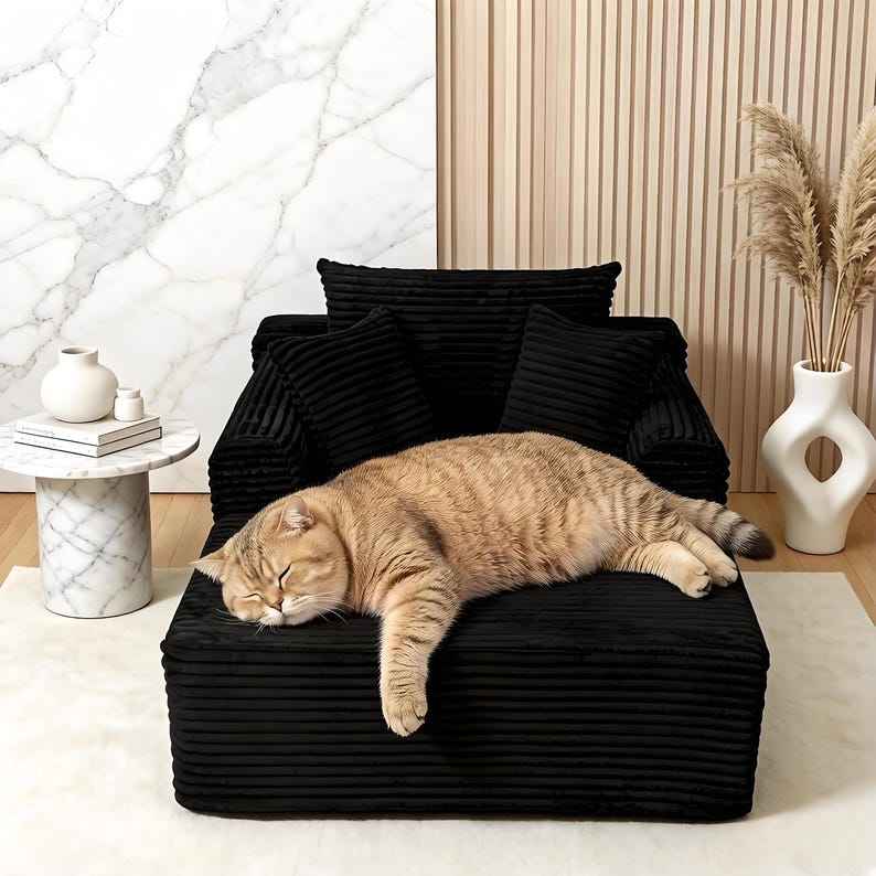 May include: A black corduroy pet sofa with matching pillows. A tan and brown tabby cat is sleeping on the sofa. A white marble side table with a white vase and books is to the left. A white vase with dried plants is to the right.