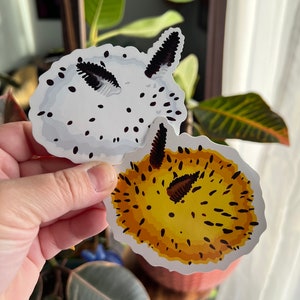 Sea Bunny Duo DieCut Sticker Pack | Waterproof