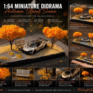 May include: Miniature autumn street scene diorama for 1:64 scale models. Features a white and black sports car, orange trees, a park bench, and realistic grass. The diorama is handmade with care and includes a display case.
