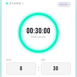 May include: A digital timer interface with a white background and a teal green circular border. The timer displays "00:30:00 REMAINING" in bold black font. Below, there are two rectangular boxes with the numbers "0" and "30". The word "READY" is in the top right corner.