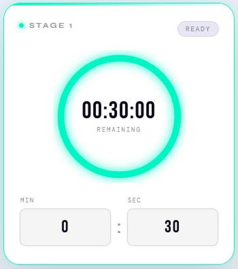 May include: A digital timer interface with a white background and a teal green circular border. The timer displays "00:30:00 REMAINING" in bold black font. Below, there are two rectangular boxes with the numbers "0" and "30". The word "READY" is in the top right corner.