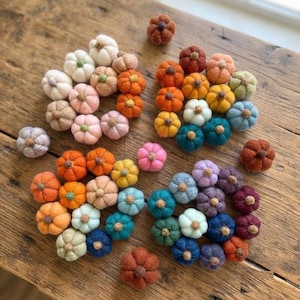 May include: A collection of small, round, felted wool pumpkins in a wide variety of colors including white, pink, orange, yellow, blue, green, and purple. Each miniature pumpkin features a small, brown, textured stem at the center top.