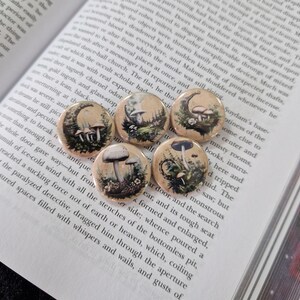 Könnte beinhalten: Eine Sammlung von fünf runden Knöpfen mit Pilzmotiven. Jeder Knopf zeigt eine andere Illustration von Pilzen in einer natürlichen Umgebung, mit unterschiedlichen Farben und Designs. Die Knöpfe liegen auf dem Hintergrund eines offenen Buches.