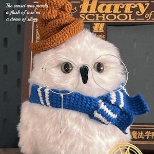 May include: A plush white owl wearing a brown crocheted pointed hat, thin silver-rimmed round glasses, and a blue and white striped crocheted scarf. The text "The sunset was merely a flush of rose on a dome of silver" is visible on the left side.