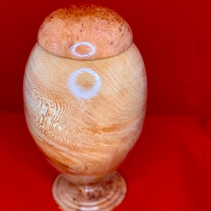 Modern Urn  U29