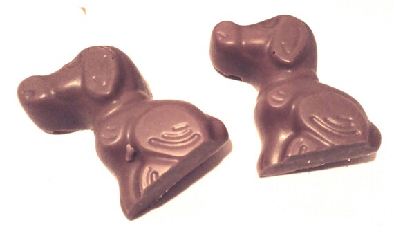 doggy chocolate