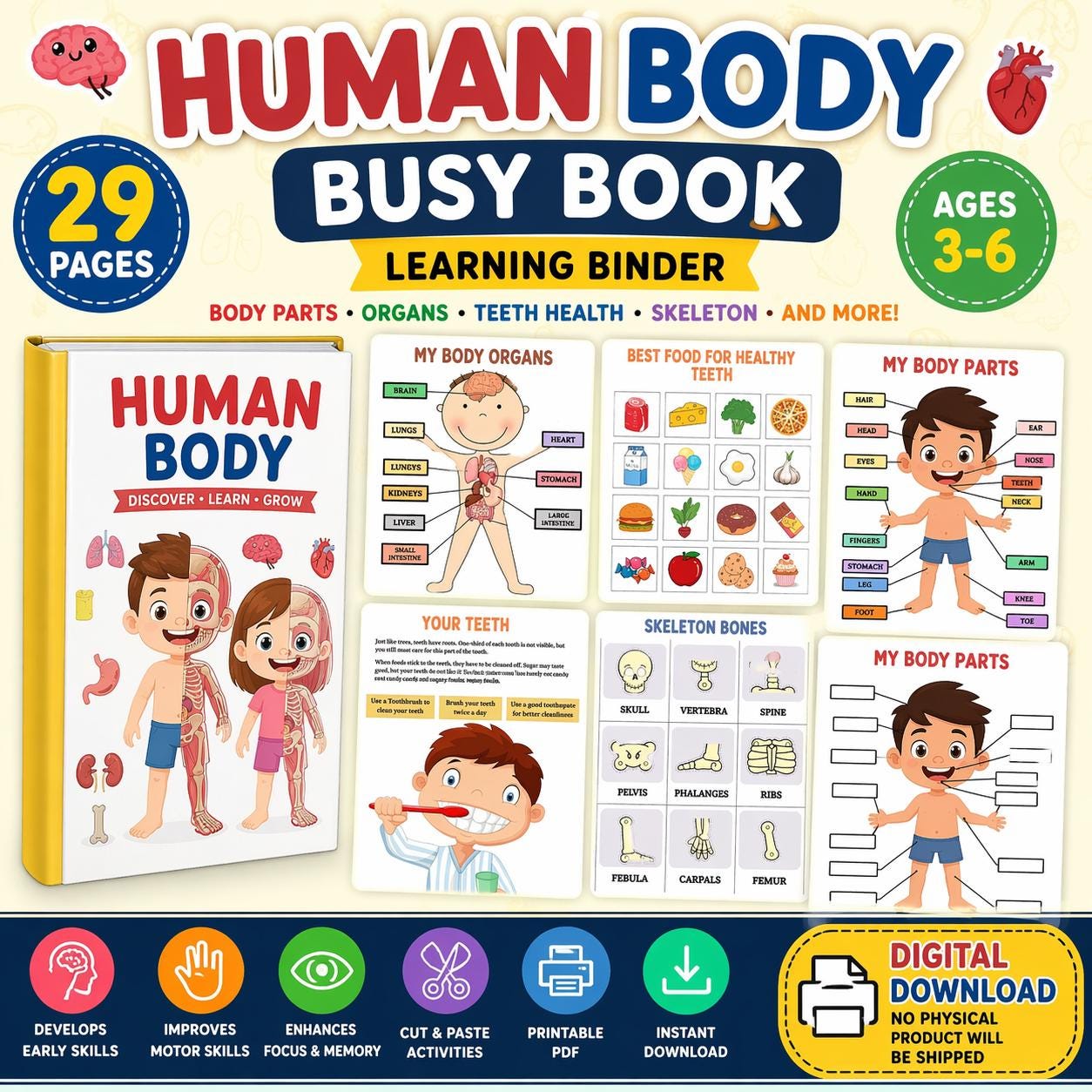 Human Body Busy Book Printable PDF | Kids Anatomy Learning Binder ...
