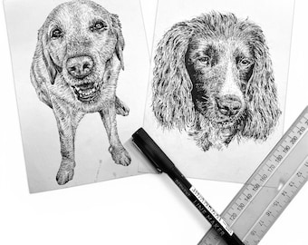 Dibujo original personalizado de retrato de mascota a partir de una fotografía.