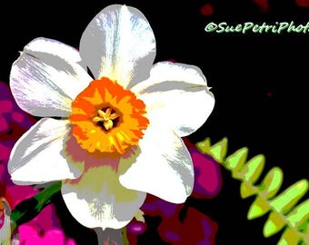 Floral Wall Art, Digitally Enhanced Fine Art Photograph, Flower Photos, Spring Blossoms, Daffodils, Daffodils Wall Art, Romantic Decor