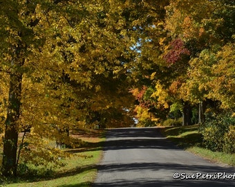 Fall Colors Photography, Driving under a fall canopy, Fall in the Niagara Region, Color Photography, Scenic Photography, Travel Photography