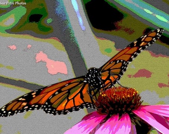 Monarch Butterfly, Photographic Art, Animal Photography, Macro Photography, Romantic Decor, Butterfly, Butterfly Photos, Orange, Black