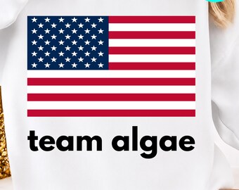 Team Algae PNG: Reflecting Pool Protest Flag Blue Promised Funny Political Design Algae Support png Satire Artwork (Digital Download)