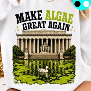 Könnte beinhalten: Ein weißes Sweatshirt mit einer Grafik des Lincoln Memorials, einem mit grünen Algen bedeckten Teich und einer weißen Ente. Der Text lautet "MAKE ALGAE GREAT AGAIN" in schwarzer und grüner Schrift. Das Design enthält zwei kleine goldene Sterne.