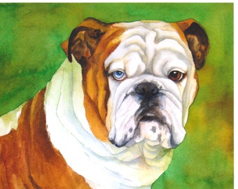 Bull dog print watercolor pet portrait 8x10 reproduction artwork ready to gift or frame